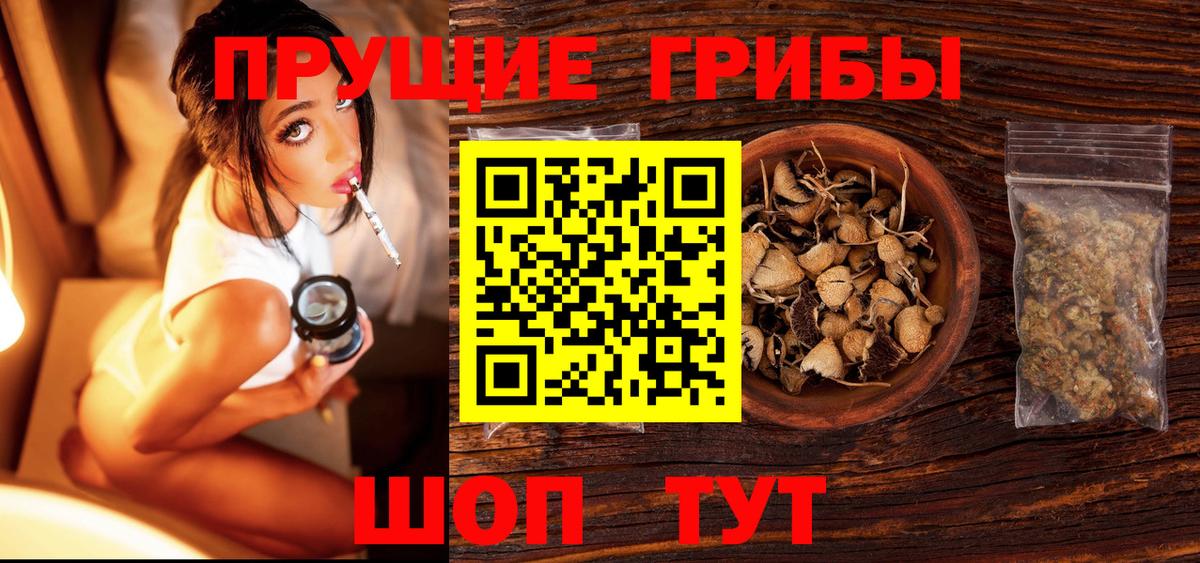 Галлюциногенные грибы Psilocybe Михайловск